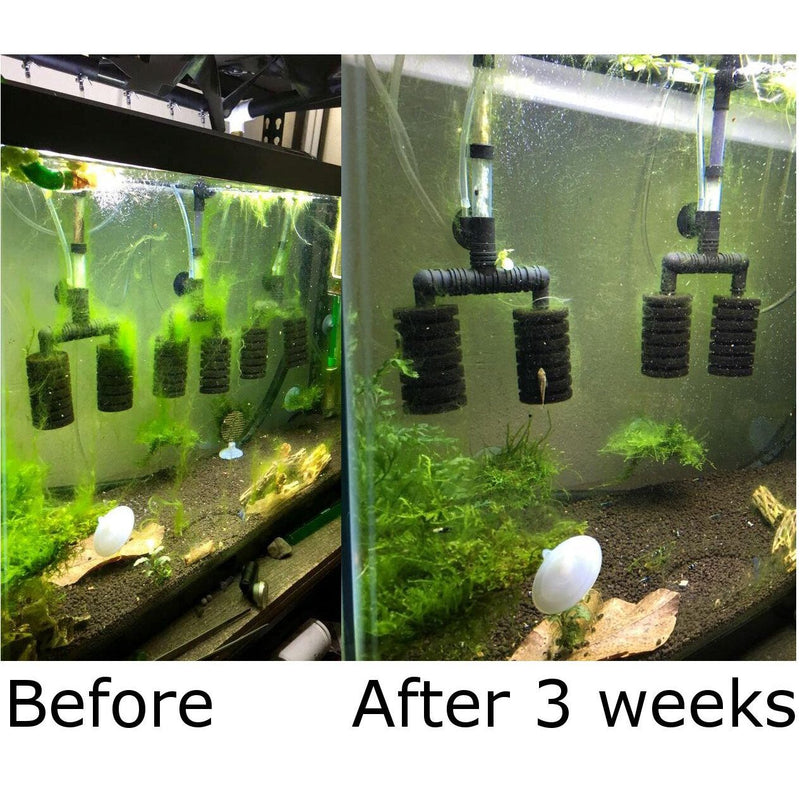 Hair Algae Killer