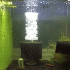Sponge Filter Bio-Film Reactor Attachment