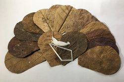 Tantora Organic Nano-Size Catappa Leaves